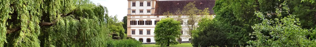 Partnersuche ab 50: Online einen Partner finden
