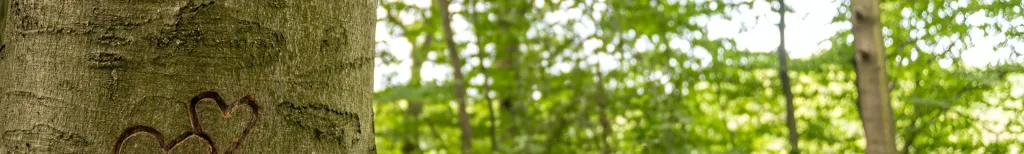 Partnersuche ab 50: Online einen Partner finden