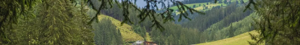 Steiermark